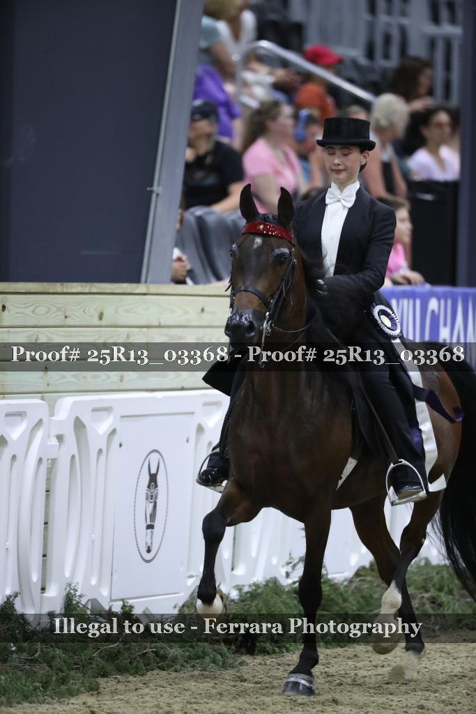 Proof Number 25R13_03368