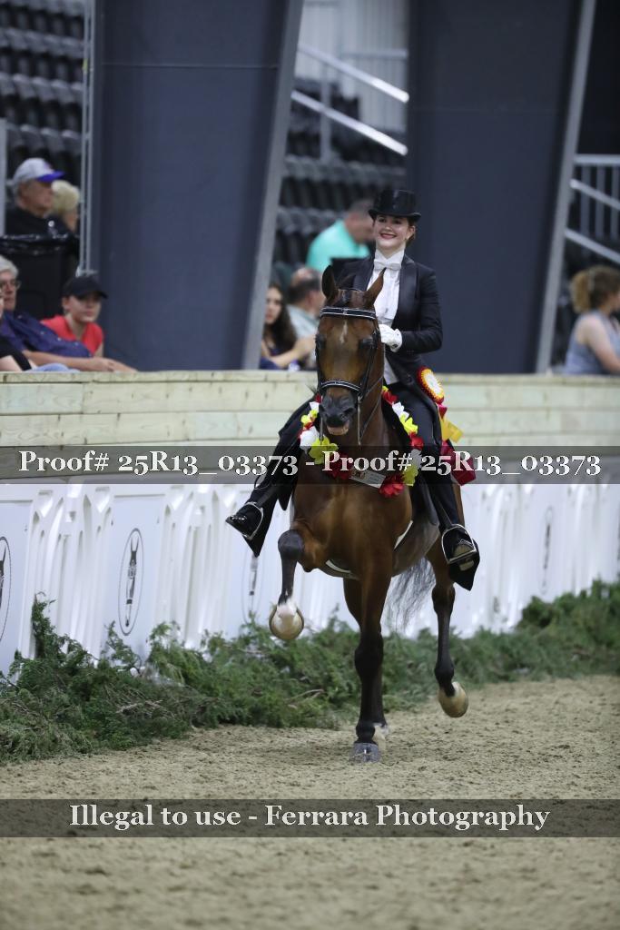 Proof Number 25R13_03373