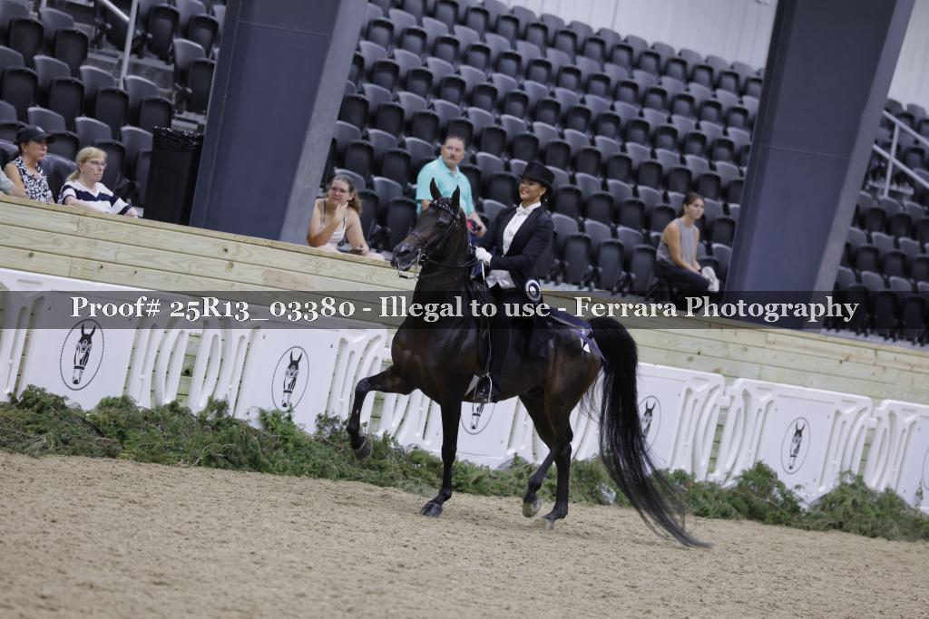 Proof Number 25R13_03380