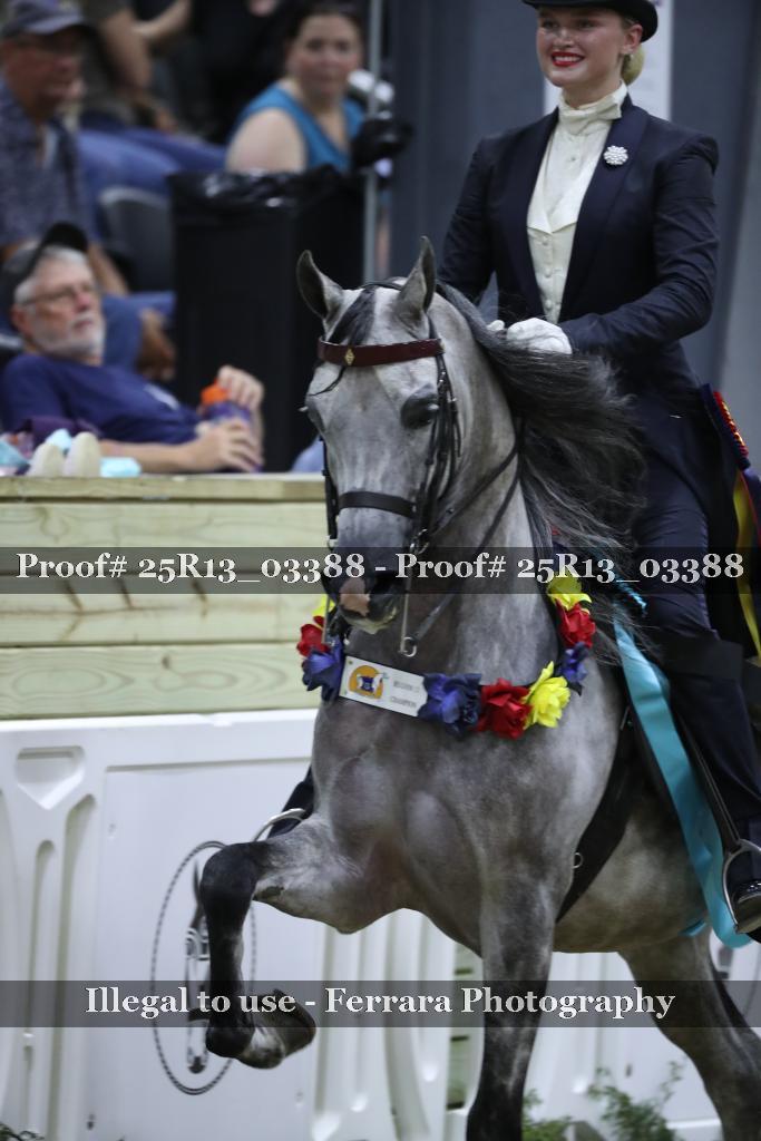 Proof Number 25R13_03388