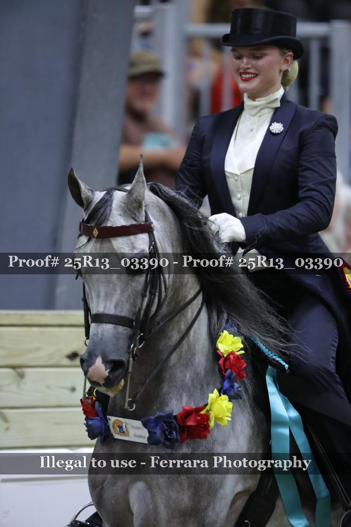 Proof Number 25R13_03390