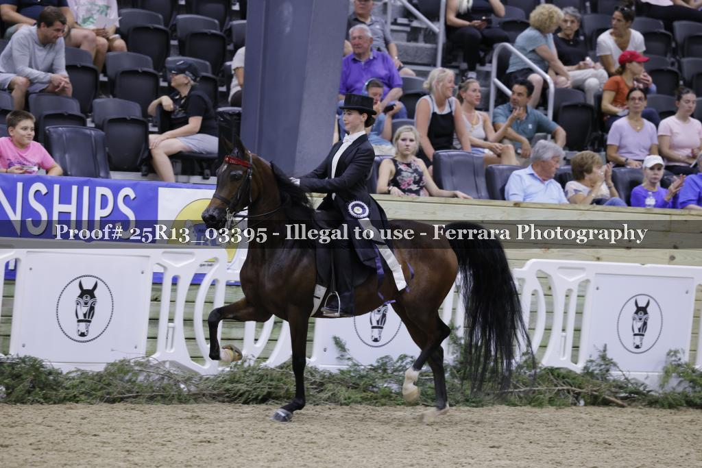 Proof Number 25R13_03395