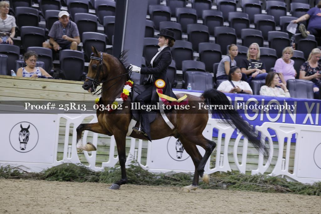 Proof Number 25R13_03402