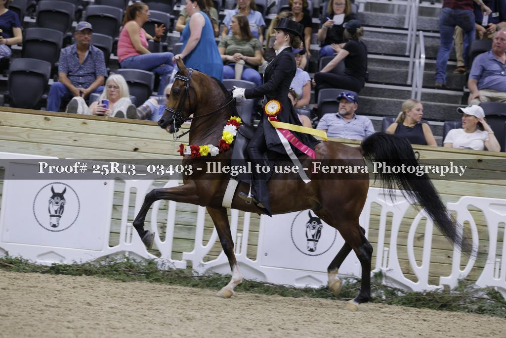 Proof Number 25R13_03403