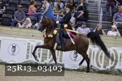 25R13_03403 thumbnail