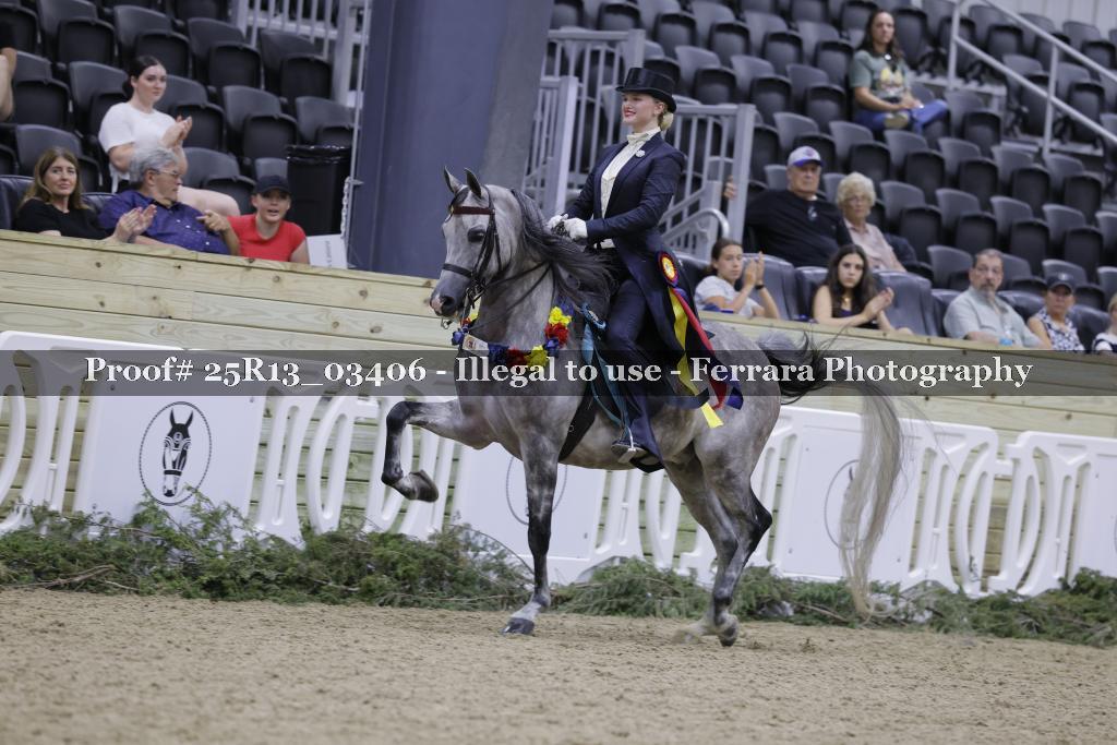 Proof Number 25R13_03406
