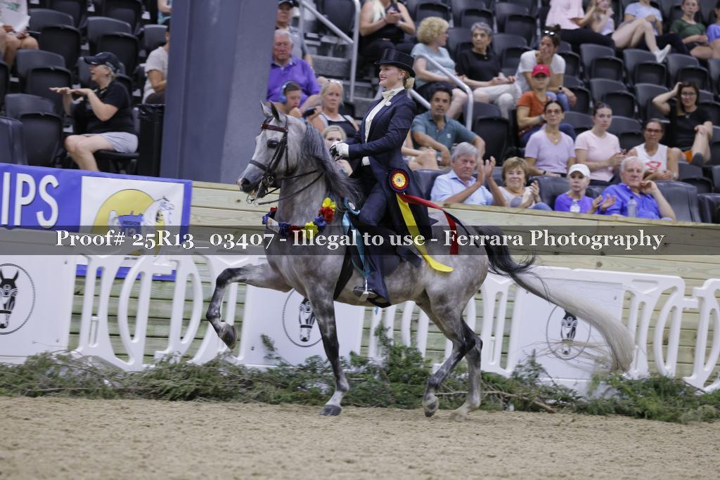 Proof Number 25R13_03407