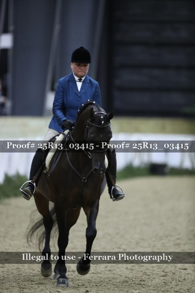 Proof Number 25R13_03415