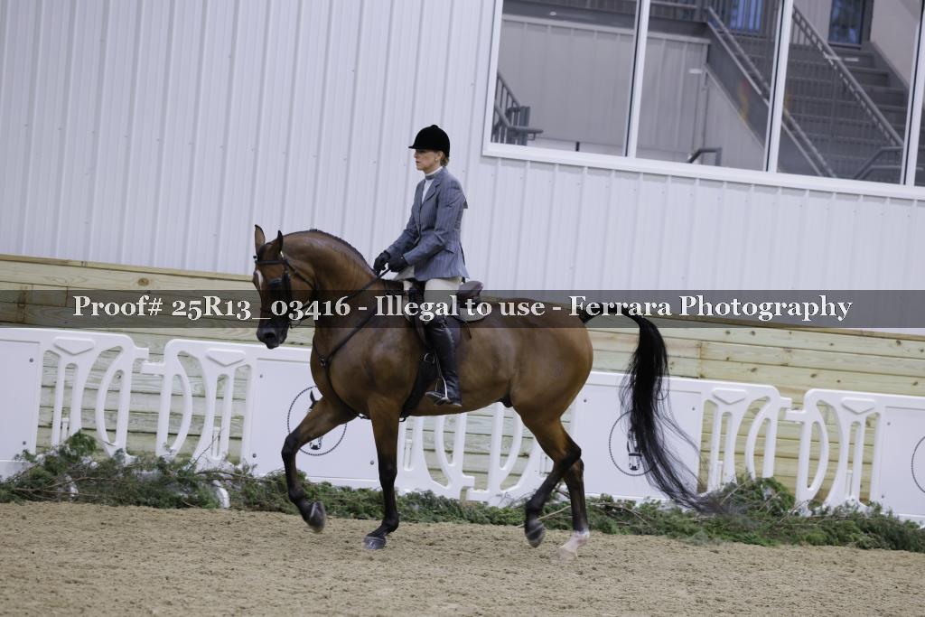 Proof Number 25R13_03416