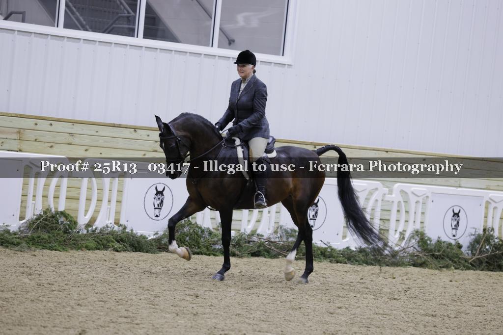 Proof Number 25R13_03417