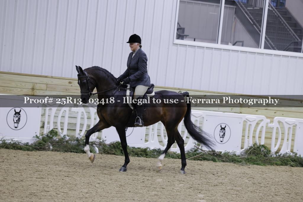 Proof Number 25R13_03418