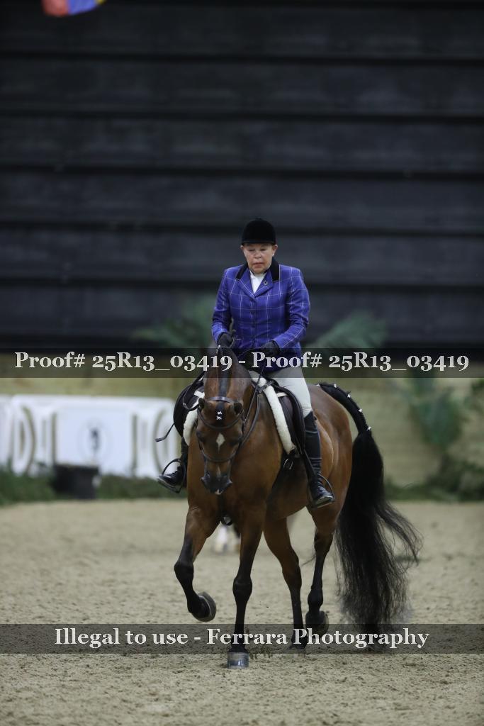 Proof Number 25R13_03419
