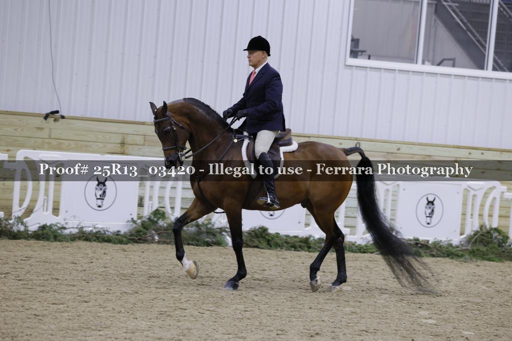 Proof Number 25R13_03420