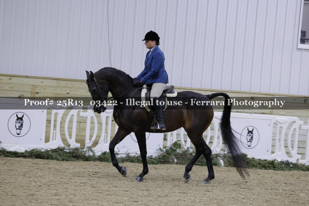 Proof Number 25R13_03422