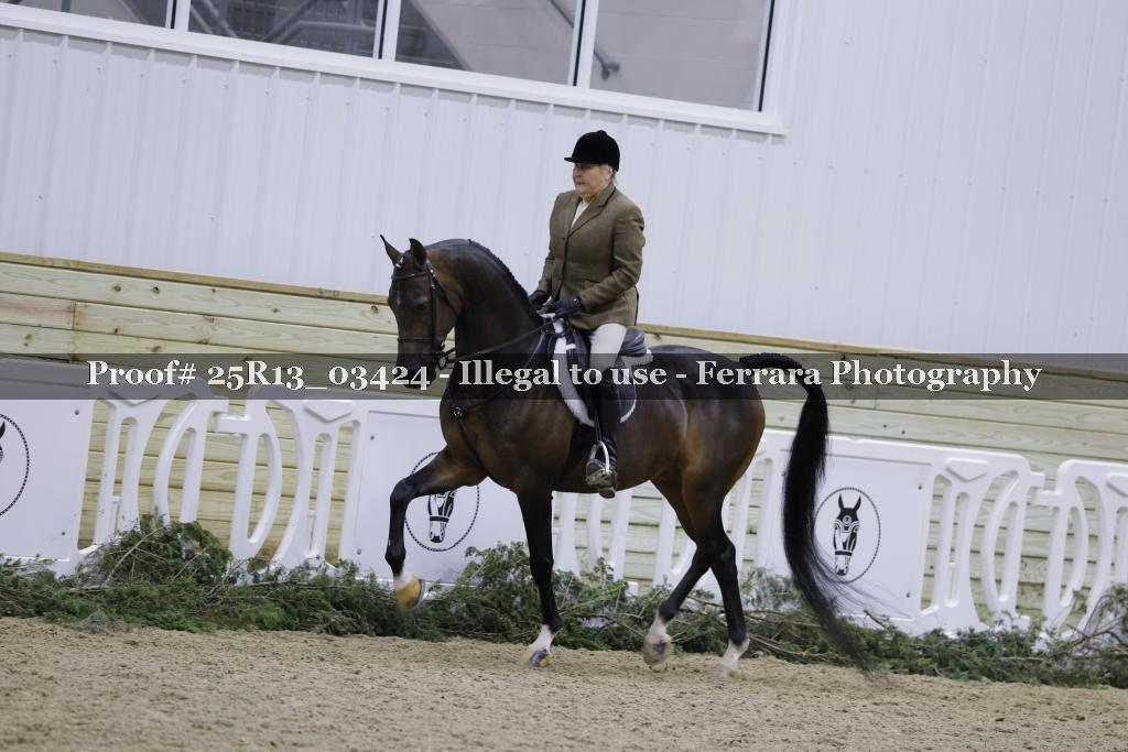 Proof Number 25R13_03424