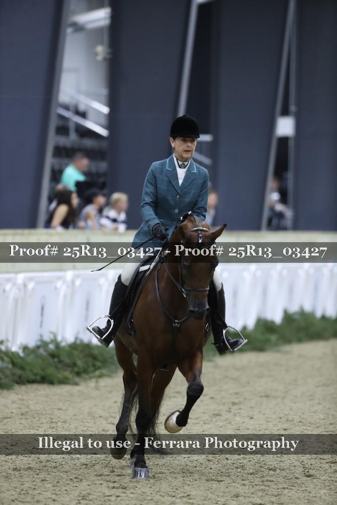 Proof Number 25R13_03427