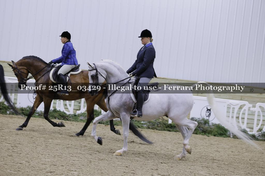 Proof Number 25R13_03429
