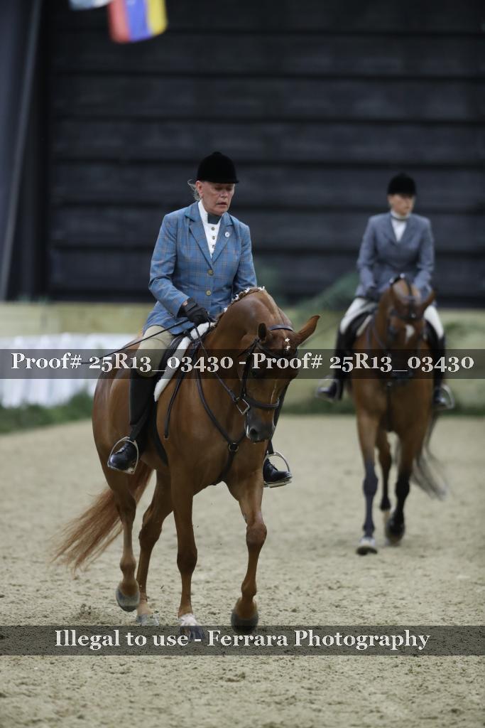 Proof Number 25R13_03430