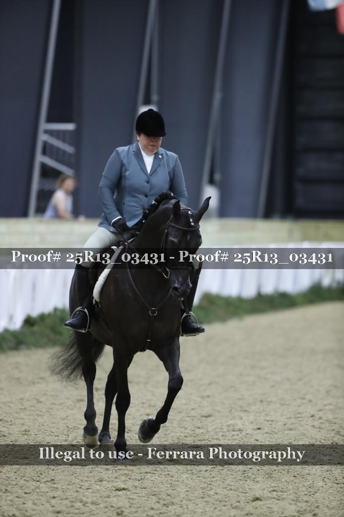 Proof Number 25R13_03431