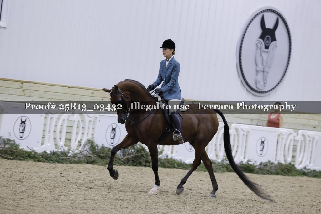 Proof Number 25R13_03432
