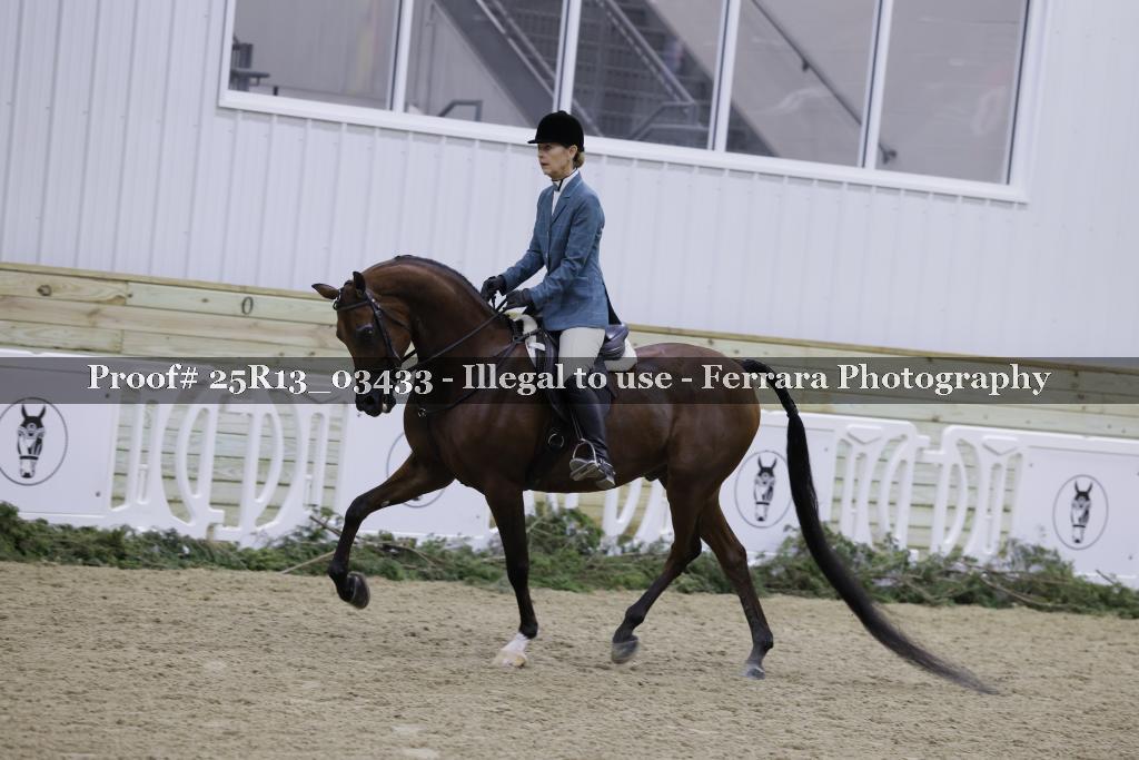 Proof Number 25R13_03433
