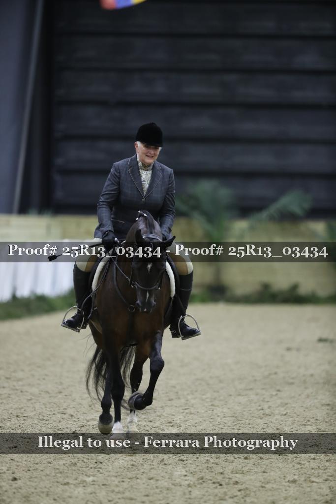 Proof Number 25R13_03434