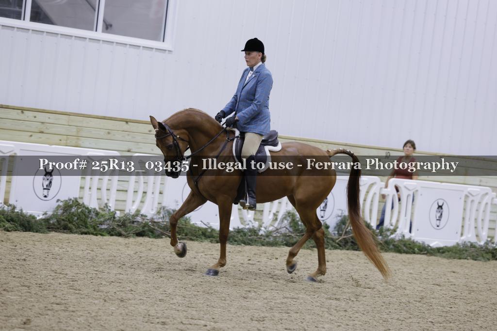 Proof Number 25R13_03435