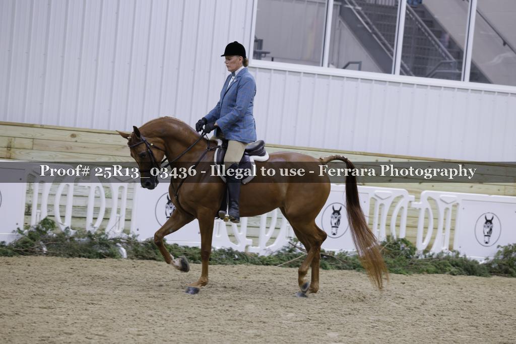 Proof Number 25R13_03436