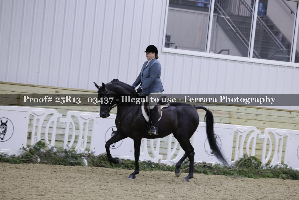 Proof Number 25R13_03437