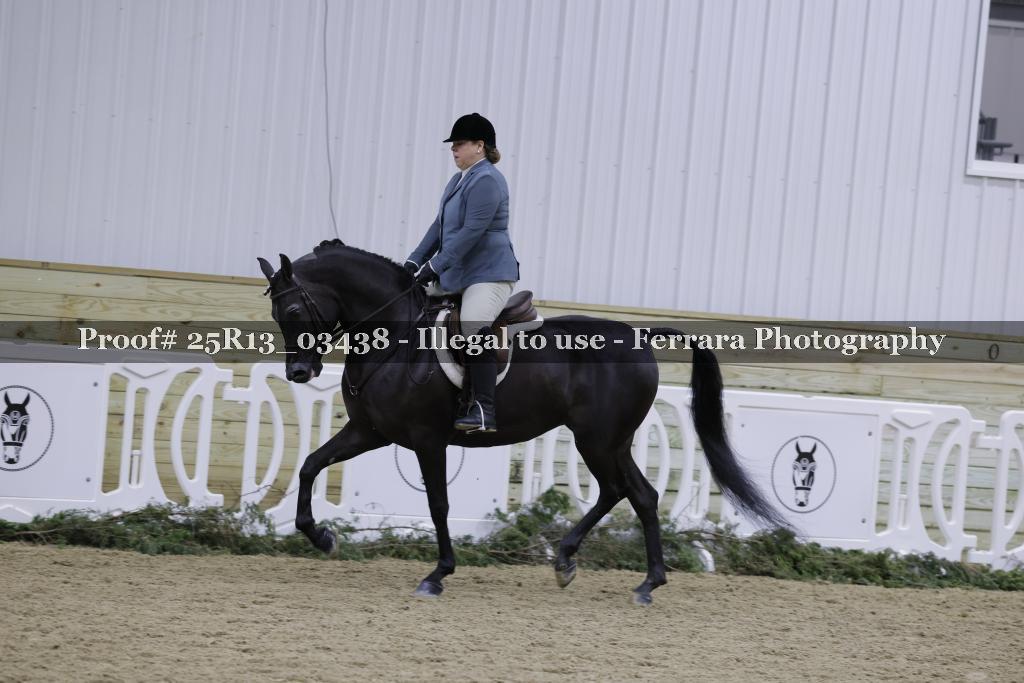 Proof Number 25R13_03438