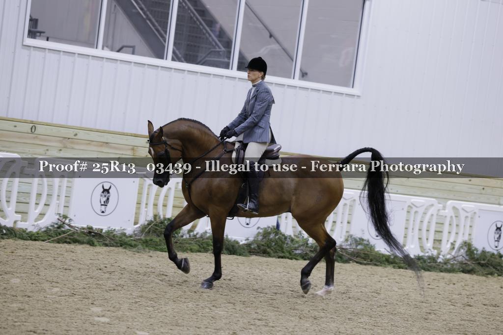Proof Number 25R13_03439