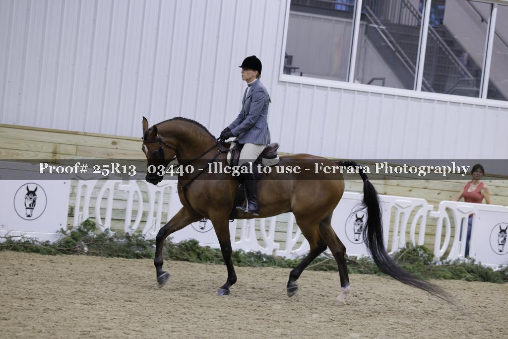 Proof Number 25R13_03440