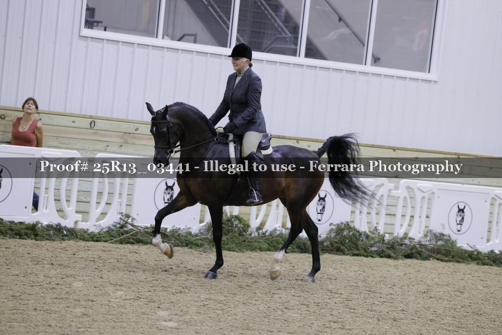 Proof Number 25R13_03441