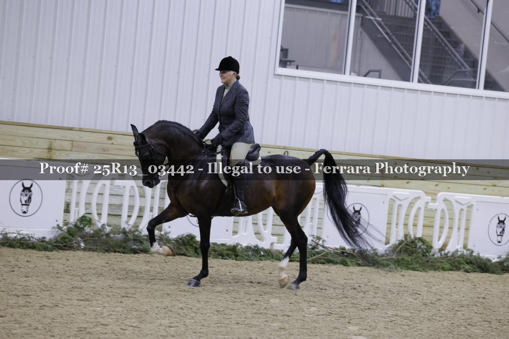 Proof Number 25R13_03442
