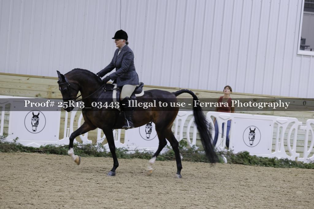 Proof Number 25R13_03443
