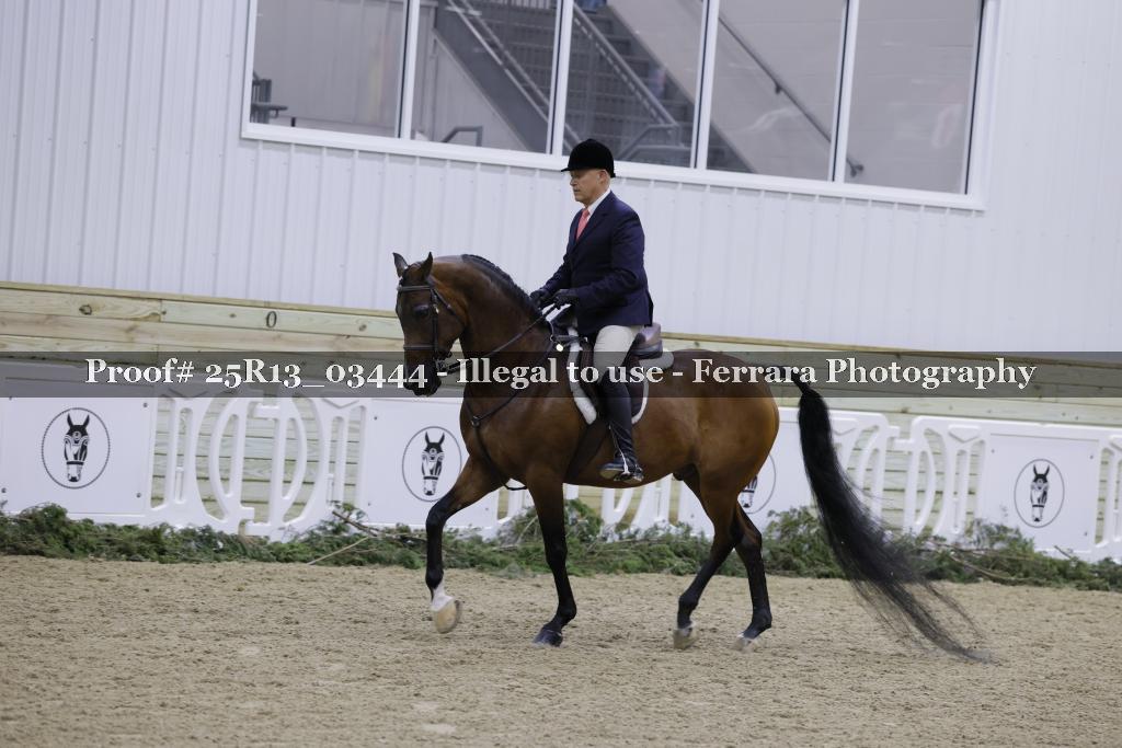 Proof Number 25R13_03444