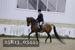 25R13_03444 thumbnail