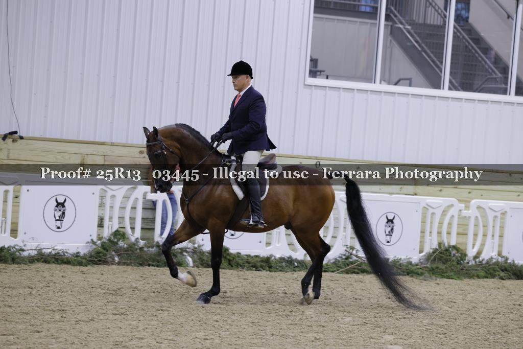 Proof Number 25R13_03445