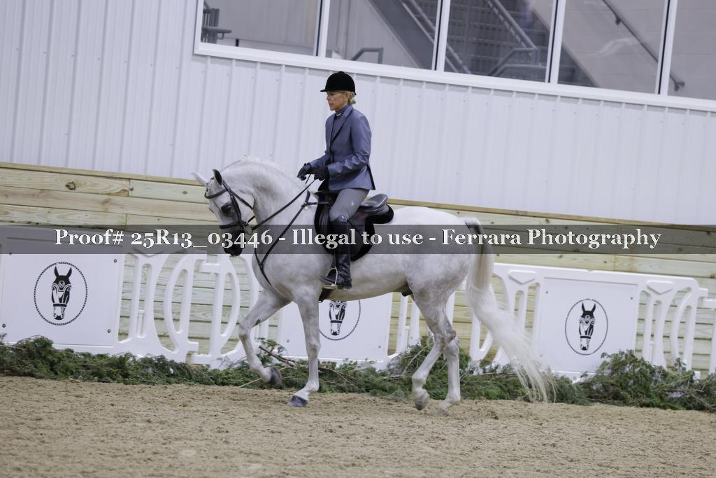 Proof Number 25R13_03446