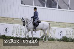 25R13_03446 thumbnail