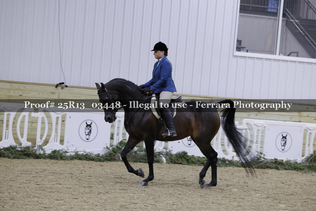 Proof Number 25R13_03448