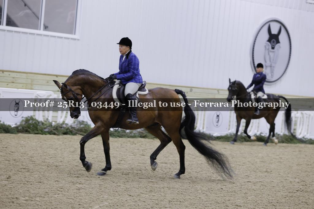 Proof Number 25R13_03449