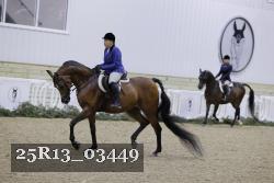 25R13_03449 thumbnail