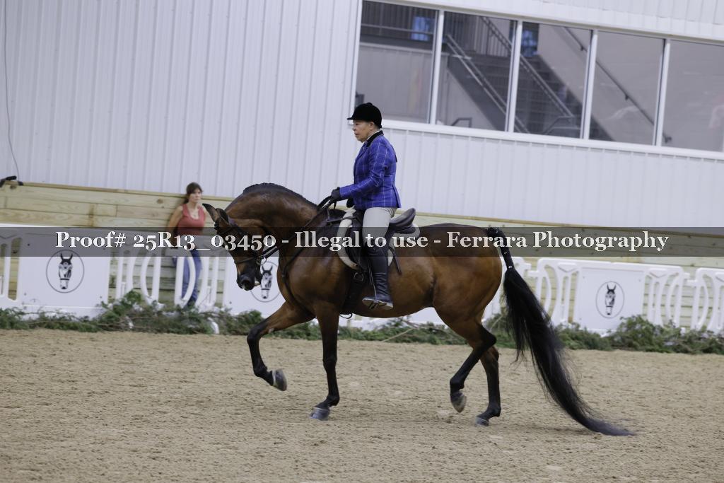 Proof Number 25R13_03450