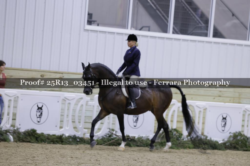 Proof Number 25R13_03451