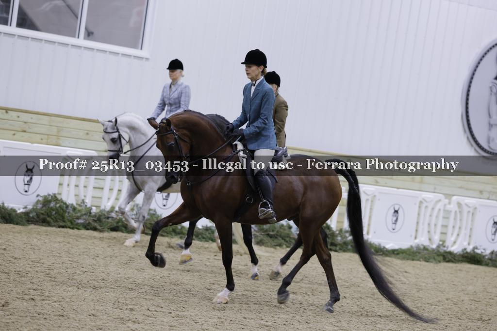 Proof Number 25R13_03453