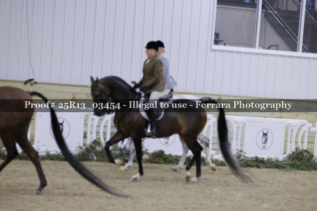 Proof Number 25R13_03454