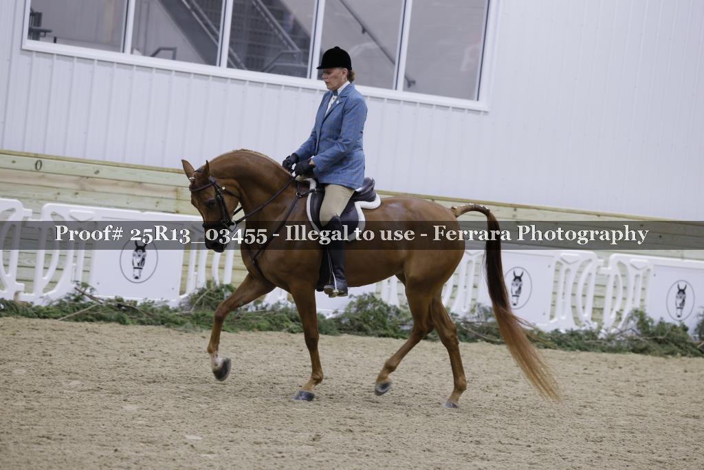 Proof Number 25R13_03455