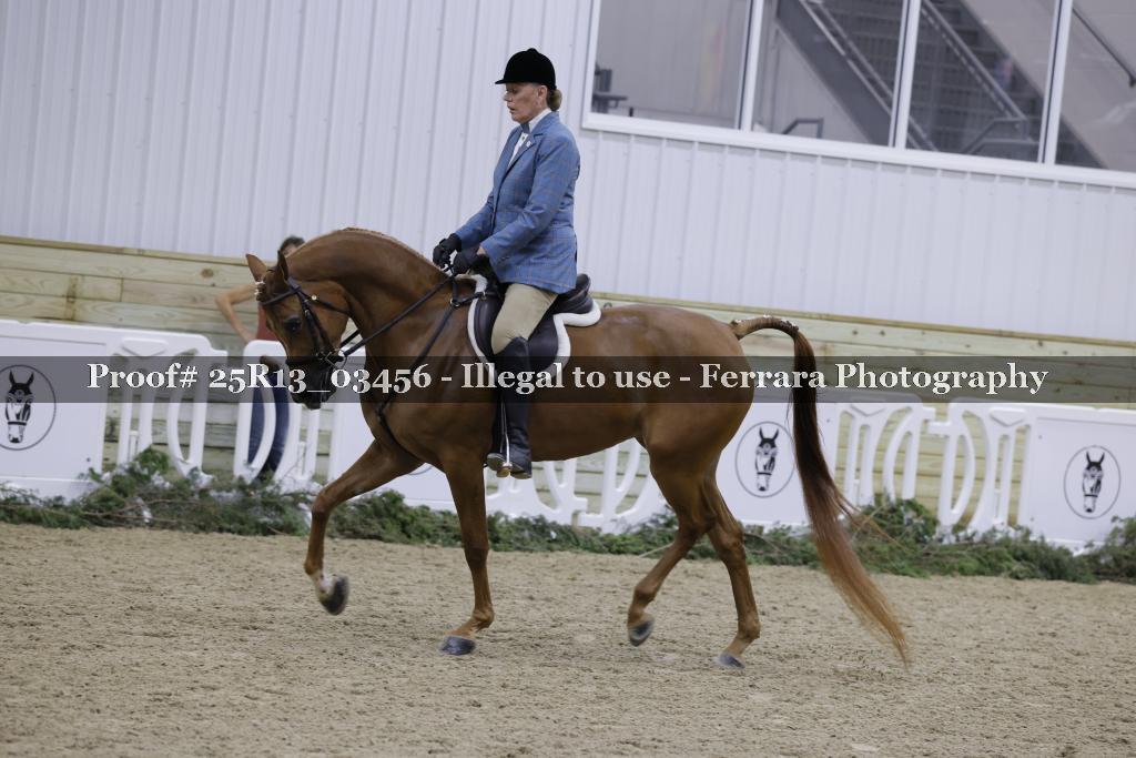 Proof Number 25R13_03456