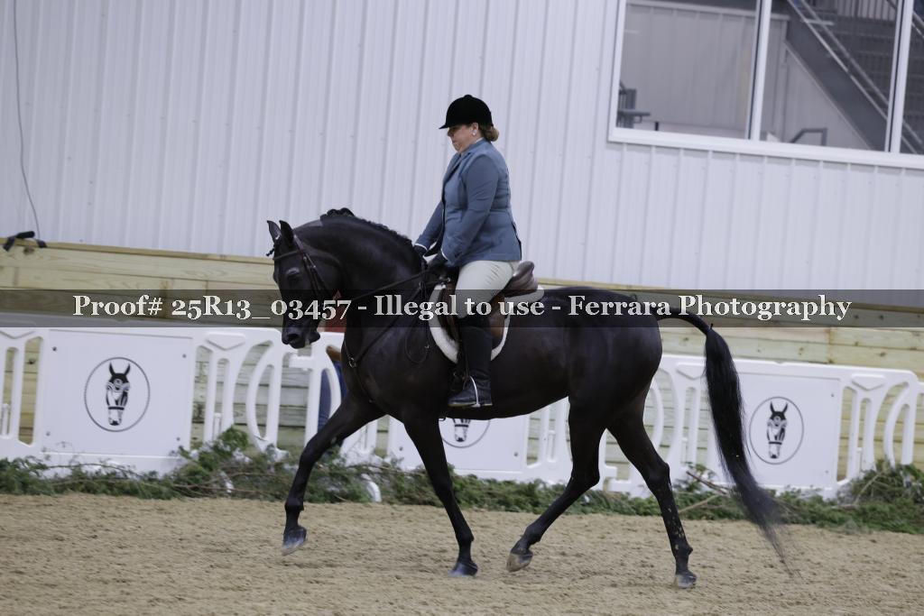 Proof Number 25R13_03457